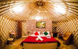 Glamping Yurt Tents