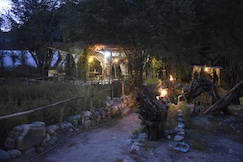 The Balti Hostel, Nubra Valley
