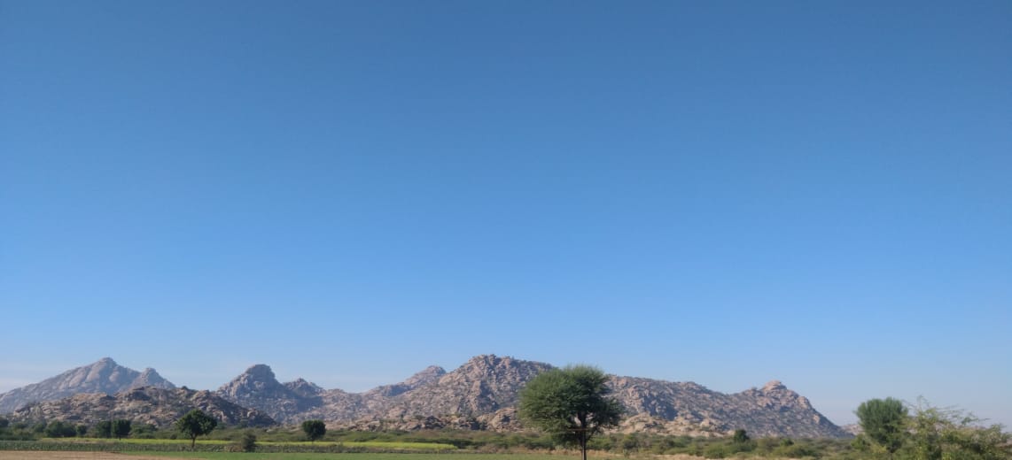 Jawai jungle Safari camp - Tap to explore photos