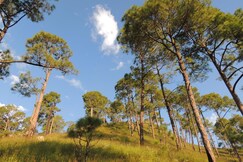 Wood Stock Cottage | Private Terrace, Kasauli