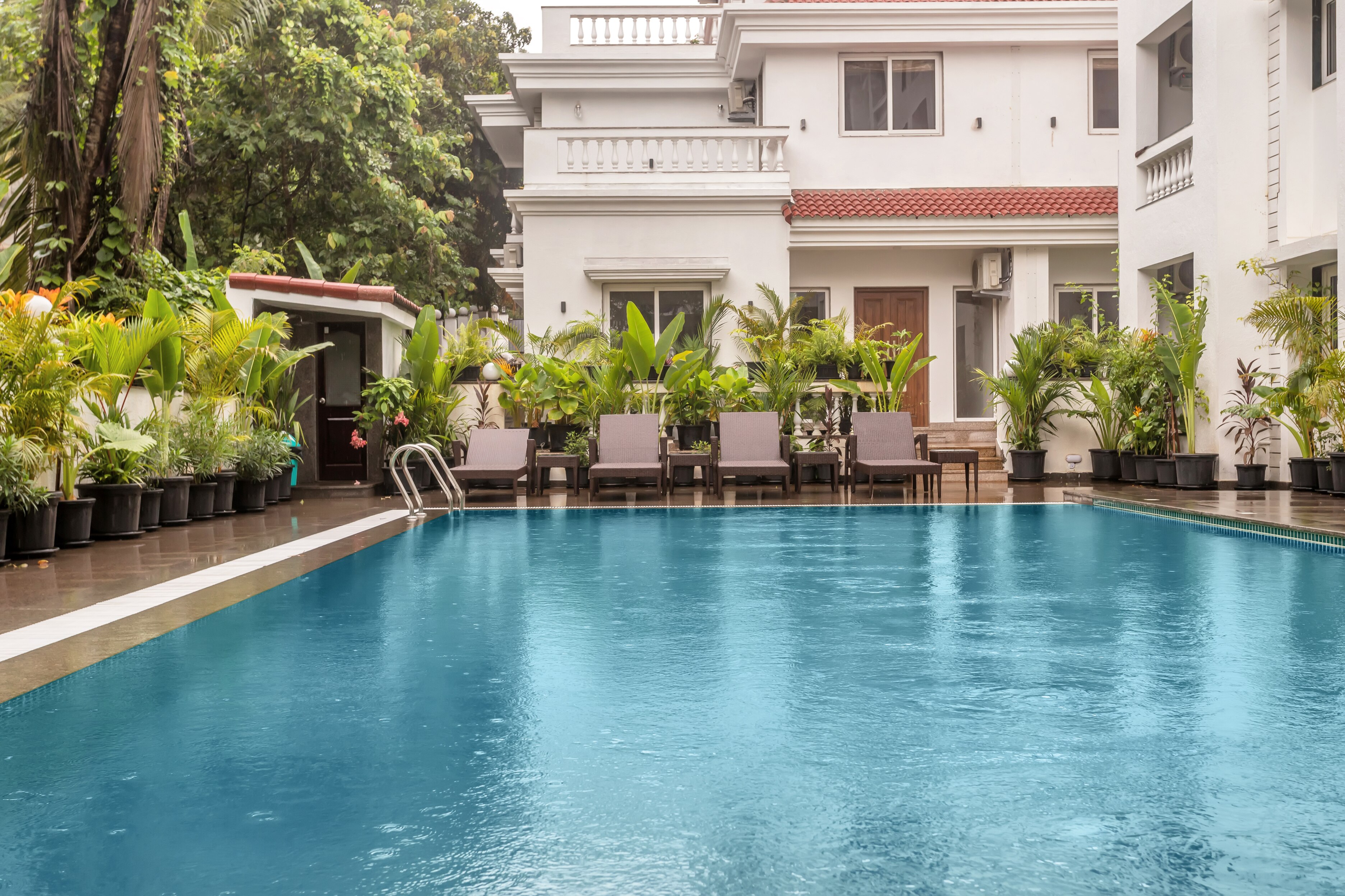 comet Modish 1BHK in Assagao - Tap to explore photos