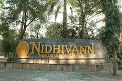 Nidhivann Wellness Retreat Resort, Pench