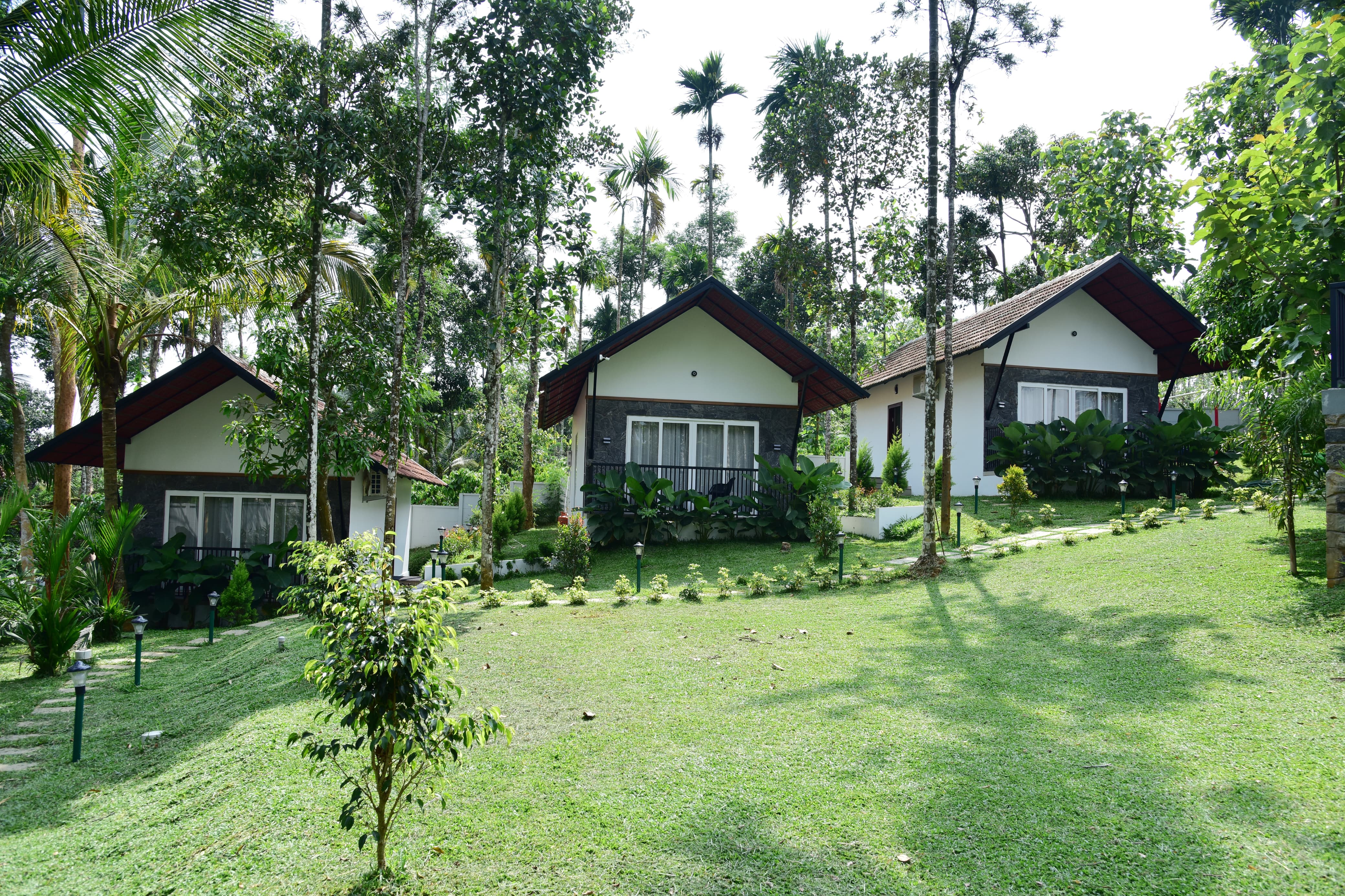 snow white resort wayanad - Tap to explore photos