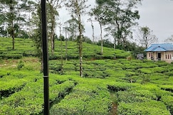 Tea Garden Vagamon, Vagamon