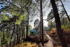 Rohini village homestay, Lansdowne