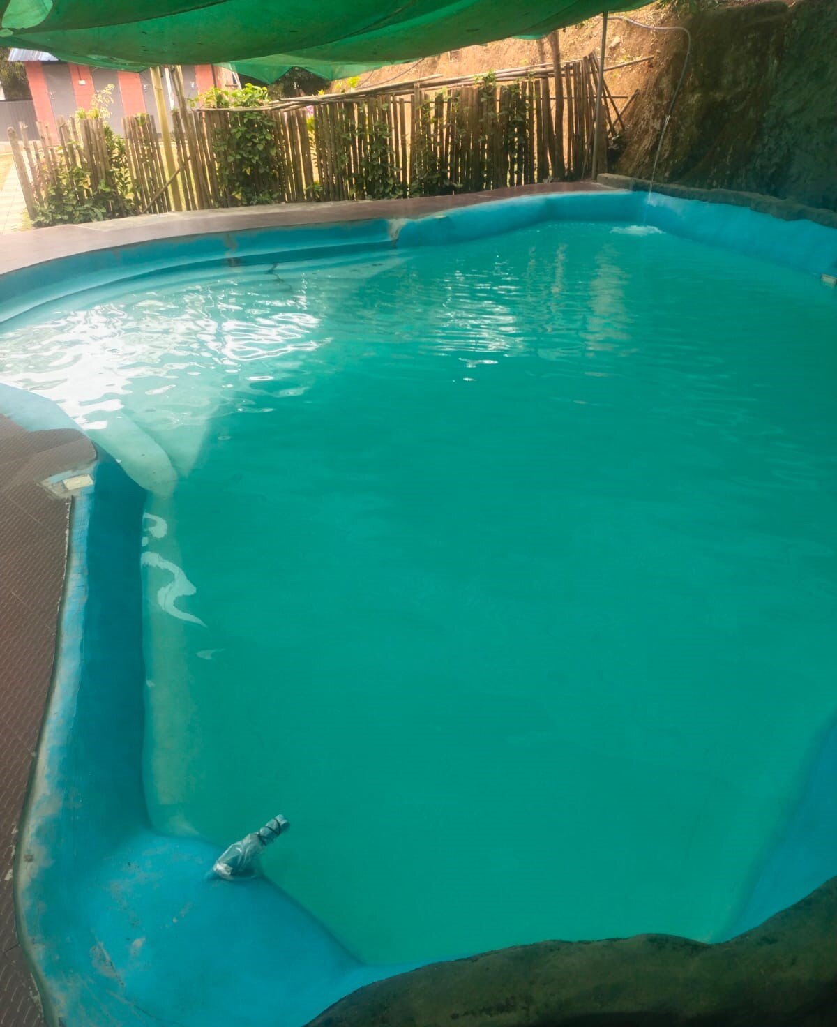 Winds Wayanad Homestay - Tap to explore photos