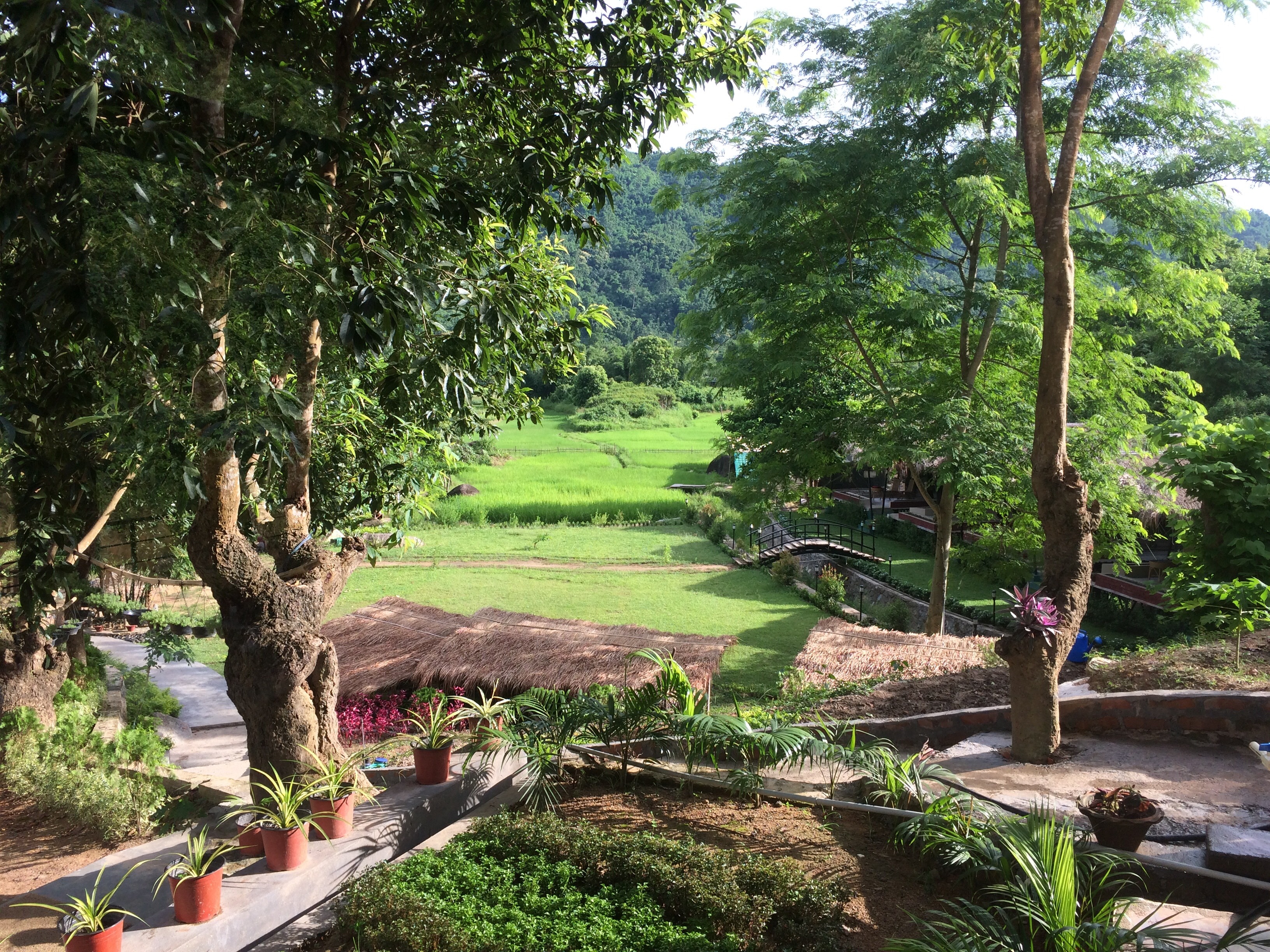 Lush Gardens & Open Spaces