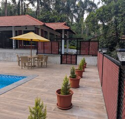 Swimming Pool 1