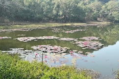 Natures Nest - Lake View, Amarwara, Madhya Pradesh