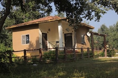 Orient Backwood Resort, Bichhiya