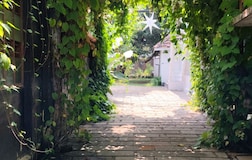 Deluxe Non Air-condition