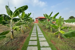 The Kutiram, Chevella