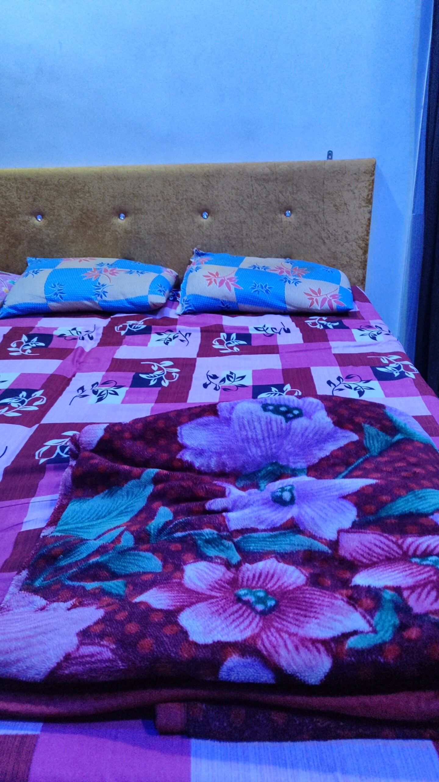 Balaji Homestay - Tap to explore photos