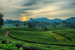Resort Rover Lennya, Kotagiri