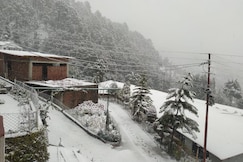 Just Naturals Wellness Resort Nainital, Bhowali