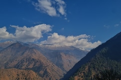 Aroha Nest, Gushaini