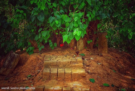 Theatre House Farmstay, Nisha Cottage