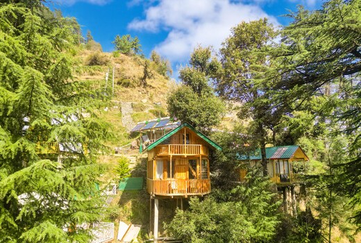 Cliff Haven Duplex Tree House