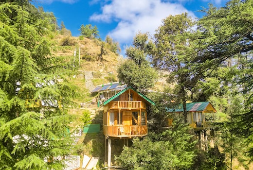 Cliff Haven Duplex Tree House