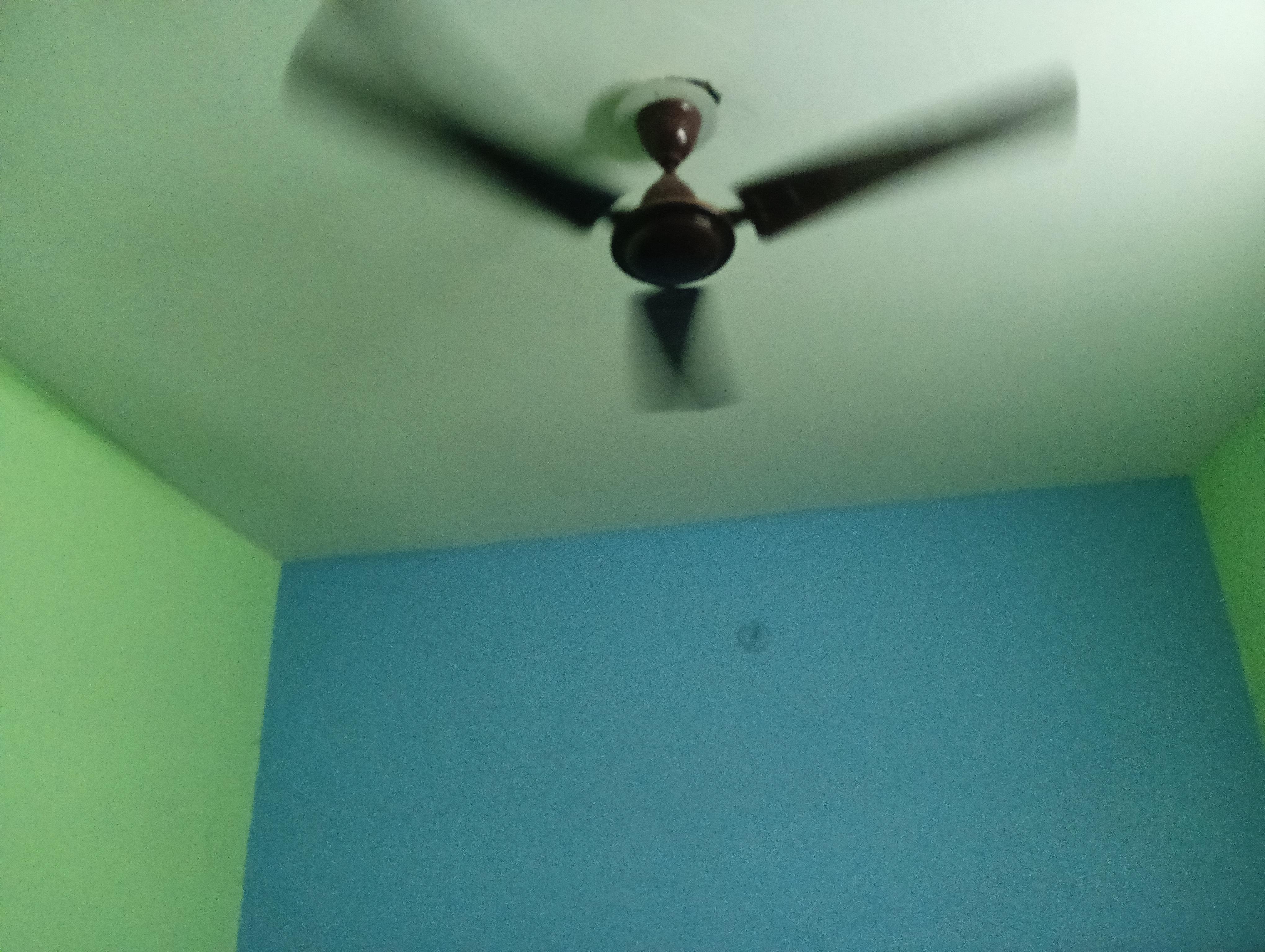 Foreigners House - Tap to explore photos