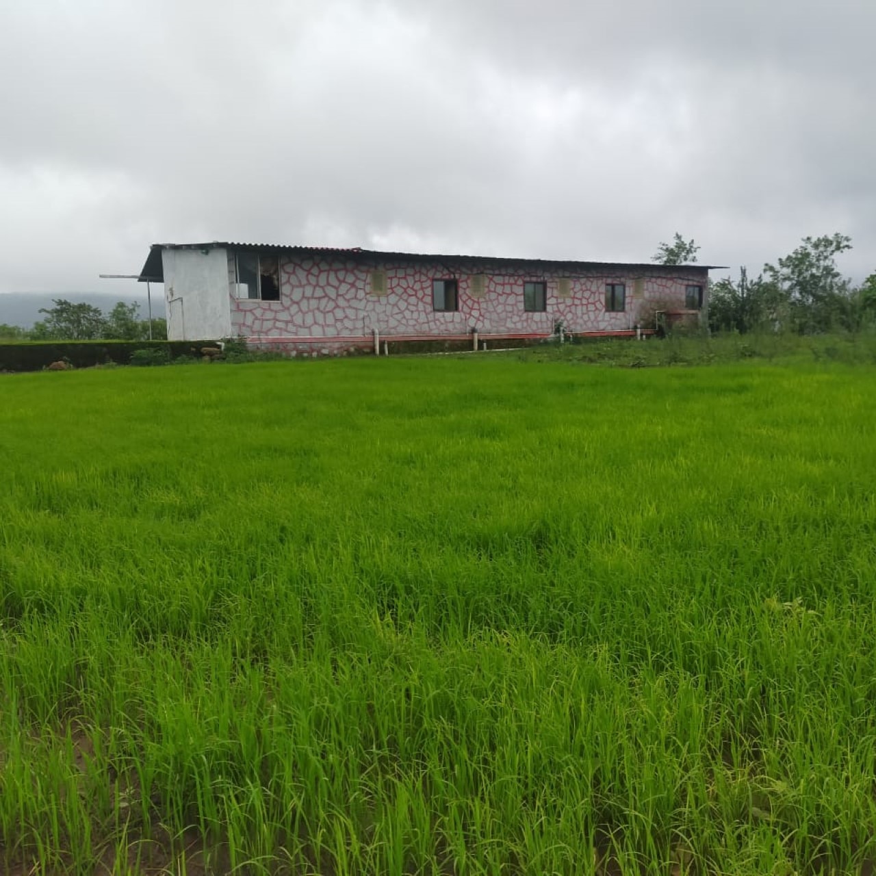 Meghvan Farmhouse & Camping Bhandardhara 5