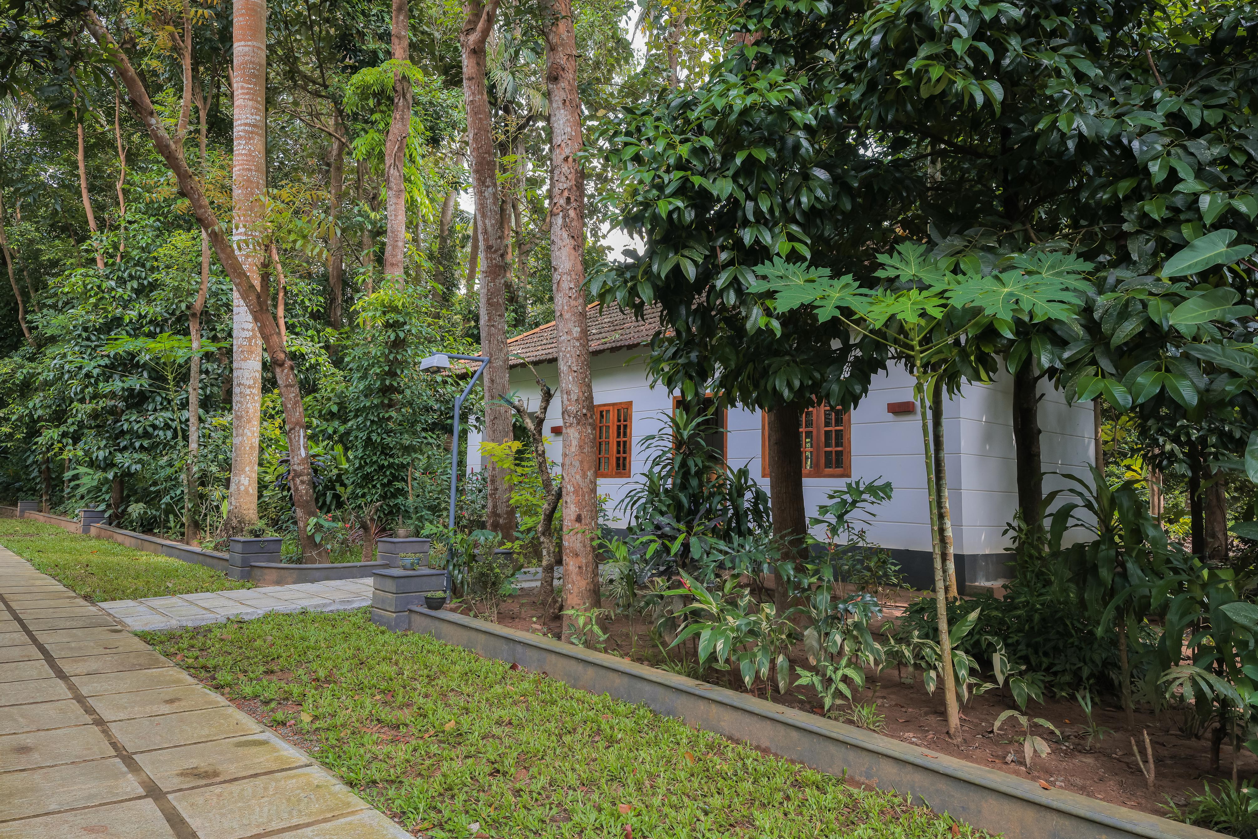 Softouch Ayurveda Village Kerala - Tap to explore photos