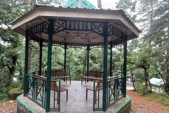 Cedar Hideaway 2Bhk Deodar forest view full flat, Chail