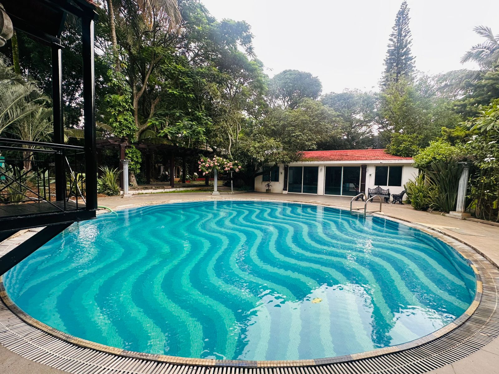 The Amore Collective, Bangalore