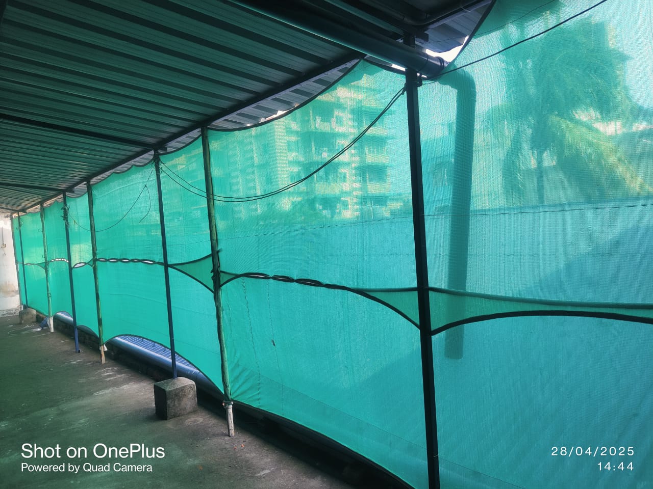ASHIRBAD GUEST HOUSE & HOMESTAY - Tap to explore photos