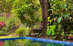 Swimming Pool 1