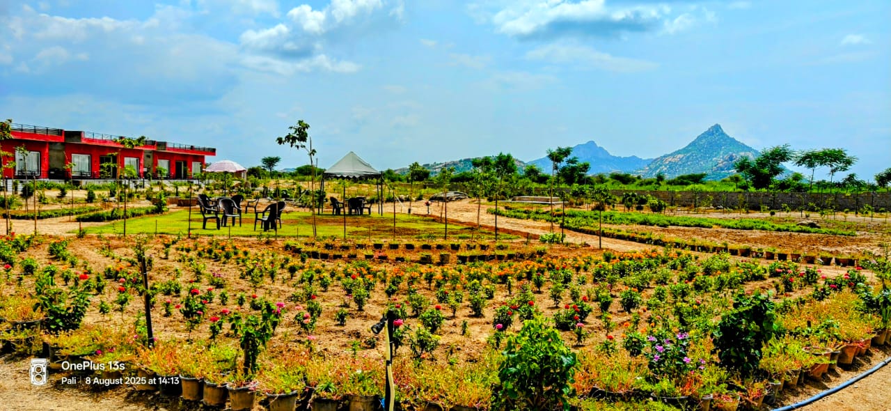 GOKUL JAWAI - Tap to explore photos