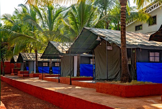 Tent-O-Treat | Camps & Premium Rooms near Dapoli