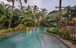 Swimming Pool 1