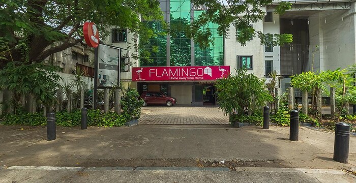 Flamingo, Chennai Flamingo, Chennai