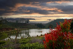 Jungle View resort, Wayanad