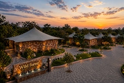 Wild Forest Resort - Gir National Park, Visavadar