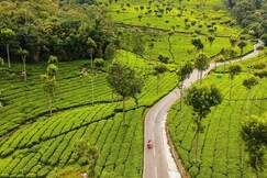 Aurora Valle, Coonoor