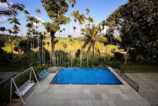Paddygram Service Villa