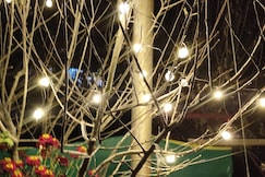 Paradise escape homestay, Manali