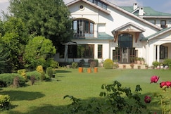 Birds and Breeze, Srinagar