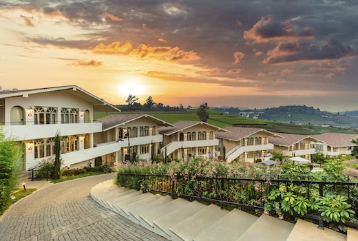 Mango Hill Shola Ooty