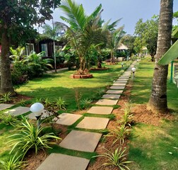 Premium  cottage