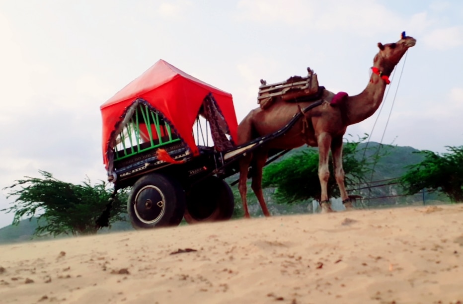 Desert Safari Camp - Tap to explore photos