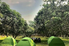 BlueMango, Nelamangala