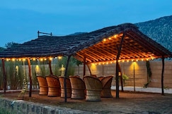 The Cub Sariska, Sariska