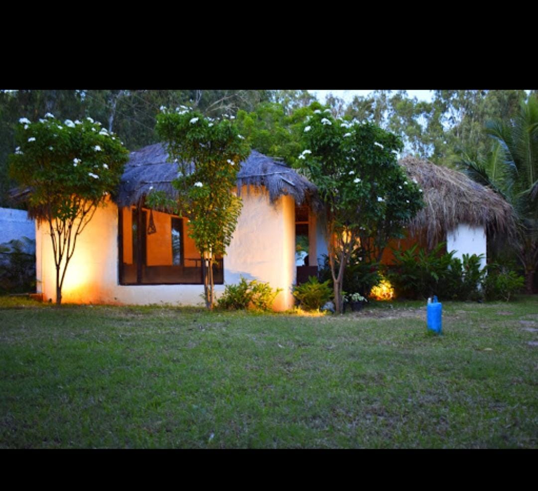 Olive Jungle Resort - Tap to explore photos