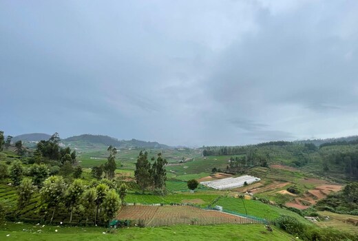 Uttaras Nest
