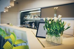 Best Western Plus Lakeside Hotel, Tamas