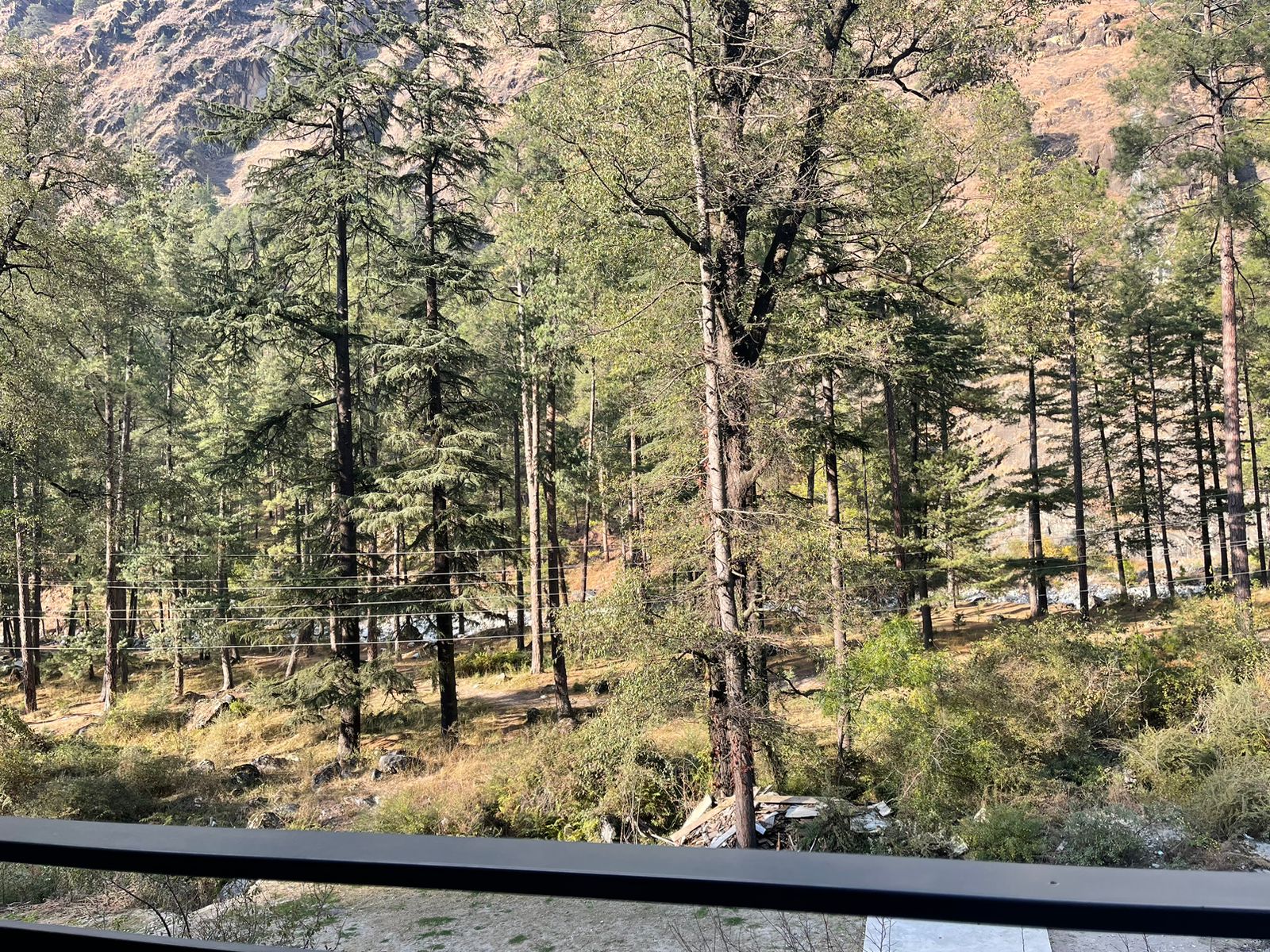 Moondance Cottage, Kullu - Tap to explore photos