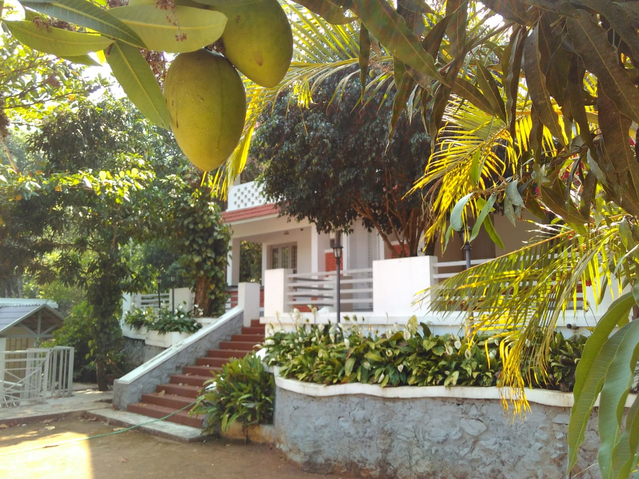 Wayanad Empire Cottage Wayanad Price Address Reviews